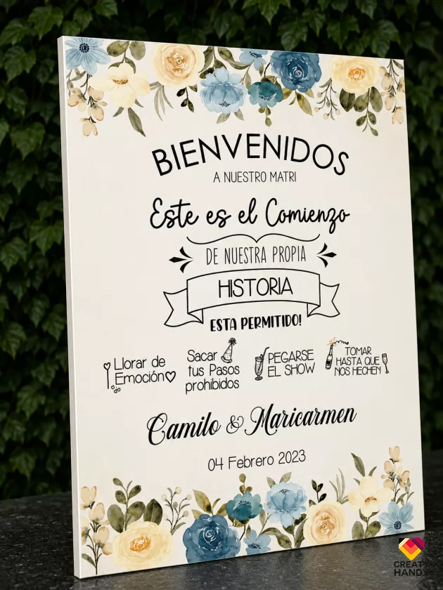 Comienzos