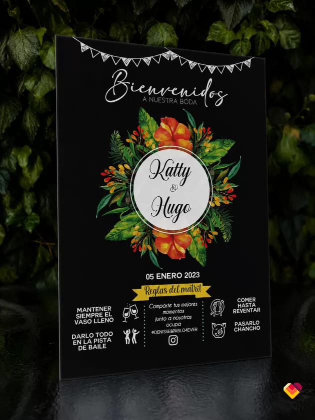 Hibisco