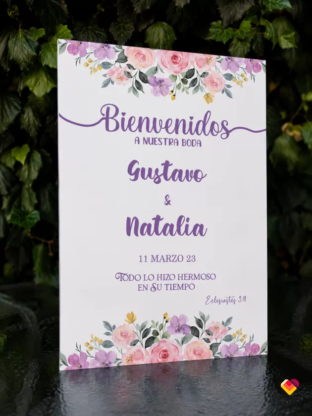 Modelos Gustavo
