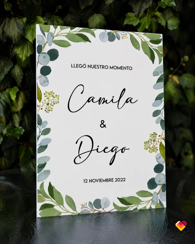 Cami