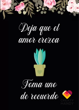 RECUERDO PLANTAS