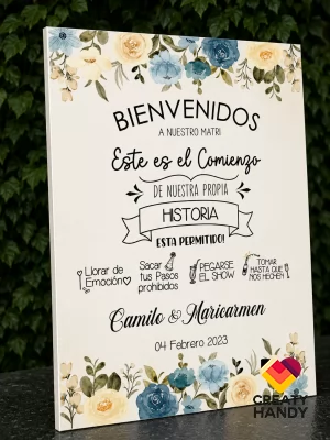 Comienzos