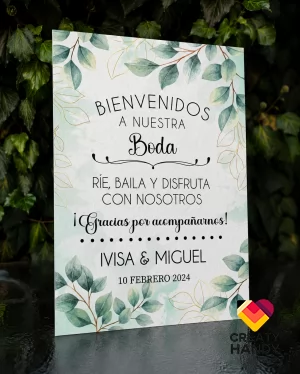 ivisa